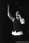 Matthew West
